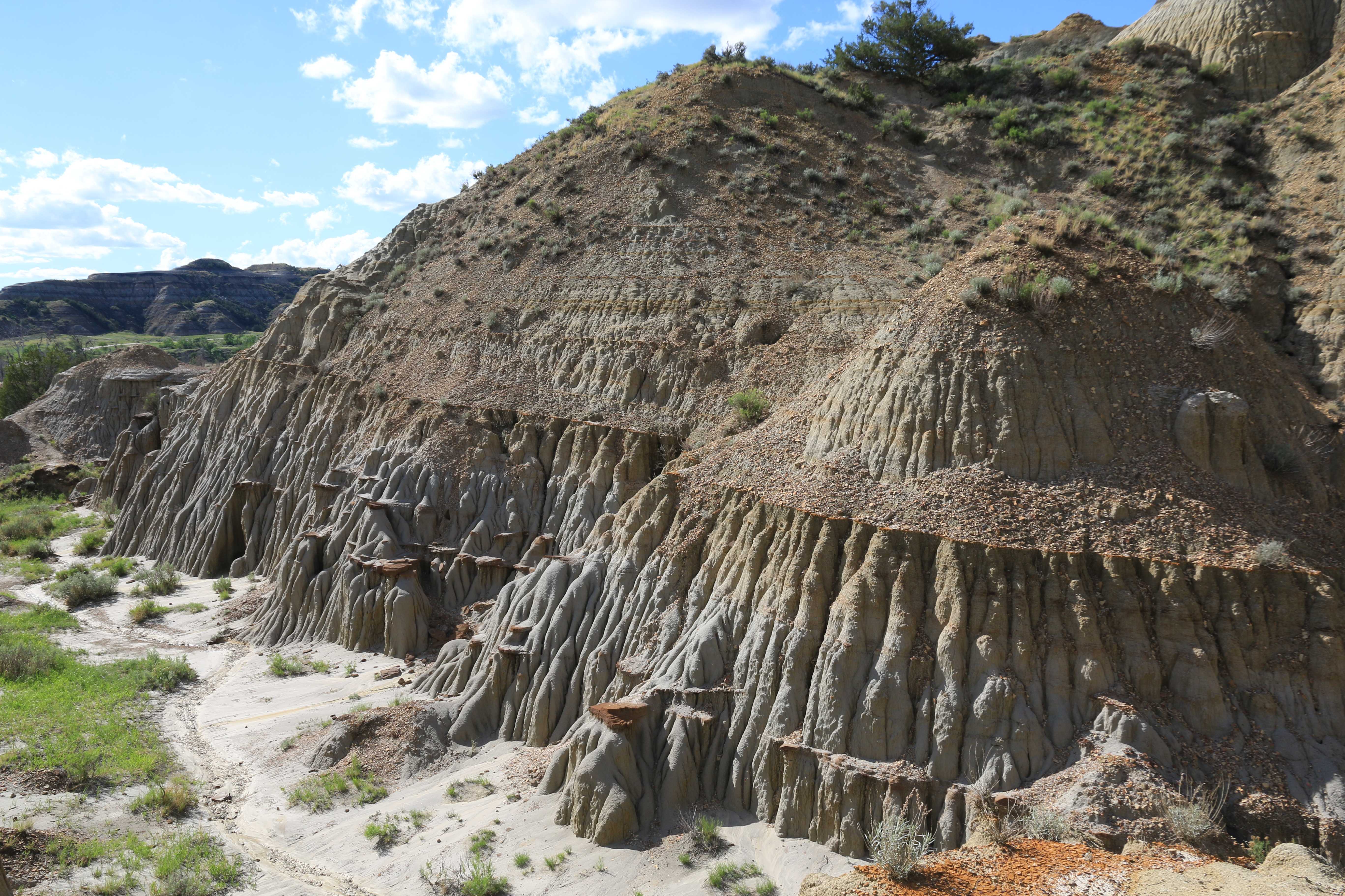 Theodore Roosevelt NP